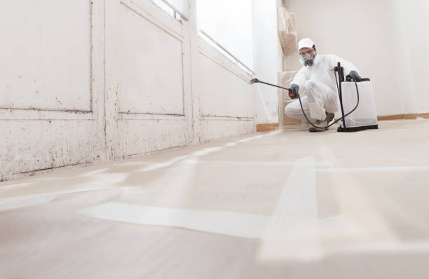 24/7 Emergency Attic Mold Remediation experts in Venice, FL